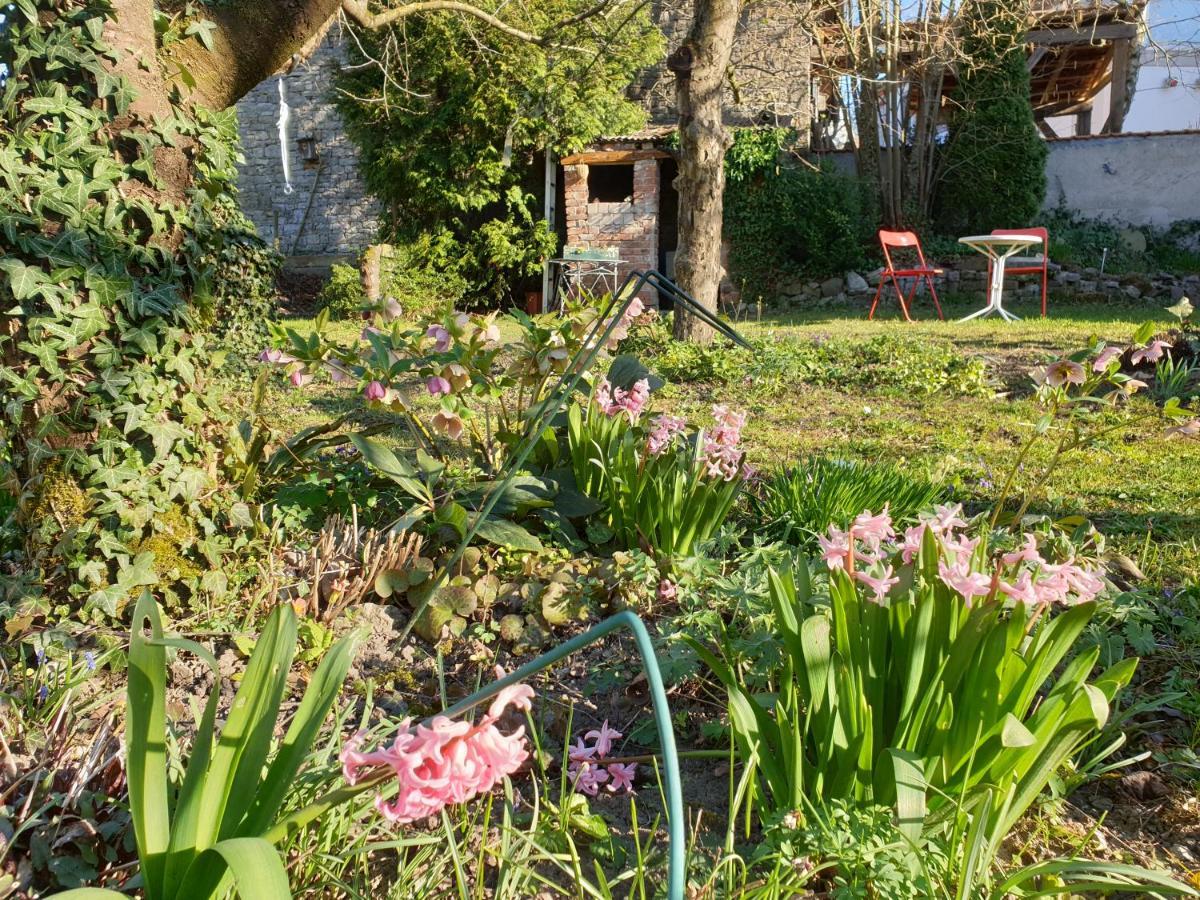 Unser Obervolkacher Ferienhaus-Einfach Gemutlich! Exterior foto