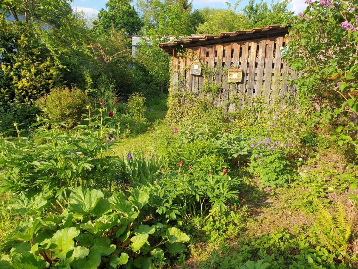 Unser Obervolkacher Ferienhaus-Einfach Gemutlich! Exterior foto