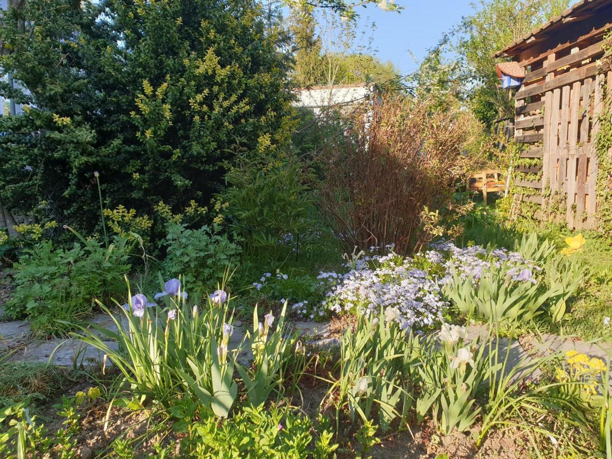 Unser Obervolkacher Ferienhaus-Einfach Gemutlich! Exterior foto